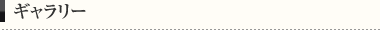 ギャラリー